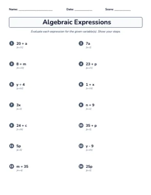 Algebraic Expressions