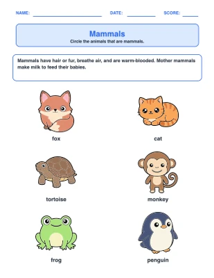 Animal Groups