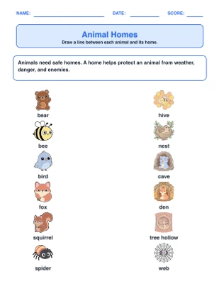 Animal Needs & Behaviors