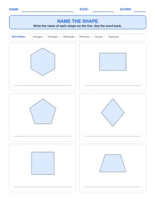 Classify 2D Shapes