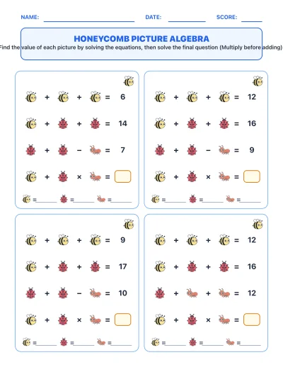 Honeycomb Picture Equation Algebra