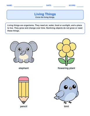 Living Things