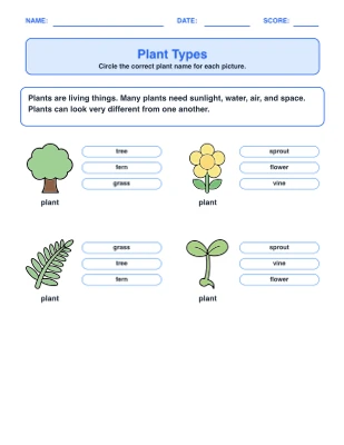 Plant Life & Parts