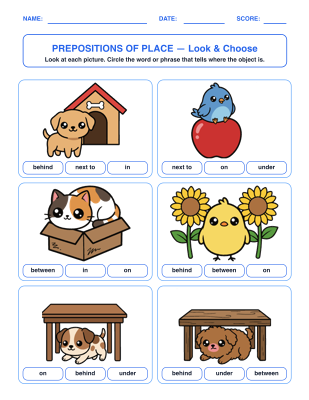 Prepositions of Place Picture Grammar